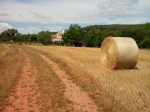 2014. Temps de Sant Joan