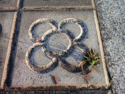 Foto Perseverància Losantos