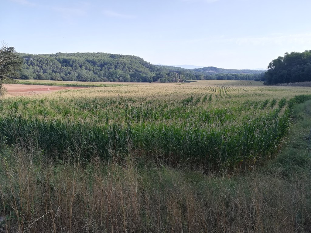 2019034. Sense país, ni llengua ni cultura. Òmnium&nbsp;climàtic.