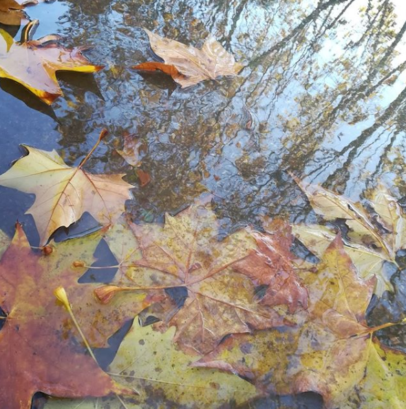 2020002. Trenta anys per ser neutres en Carboni a l’administració.