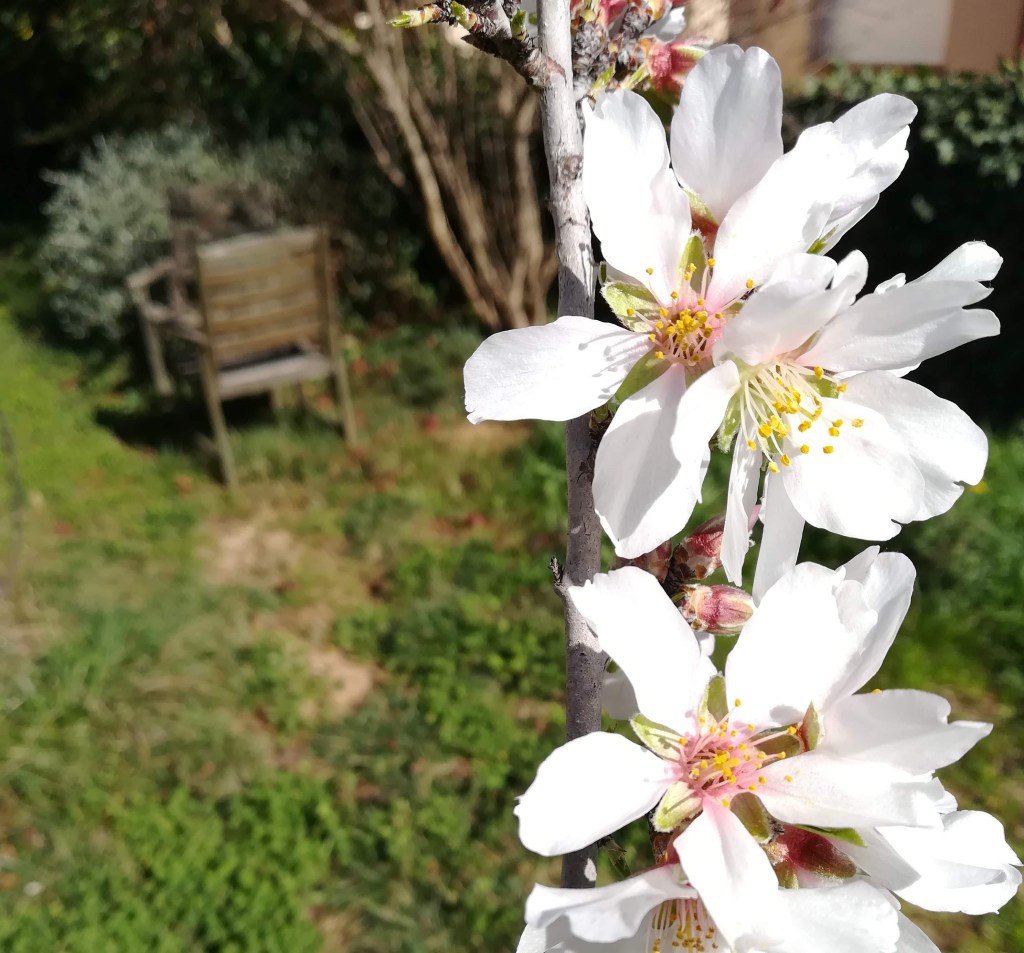 2020006. Universitats: reportant el&nbsp;carboni.