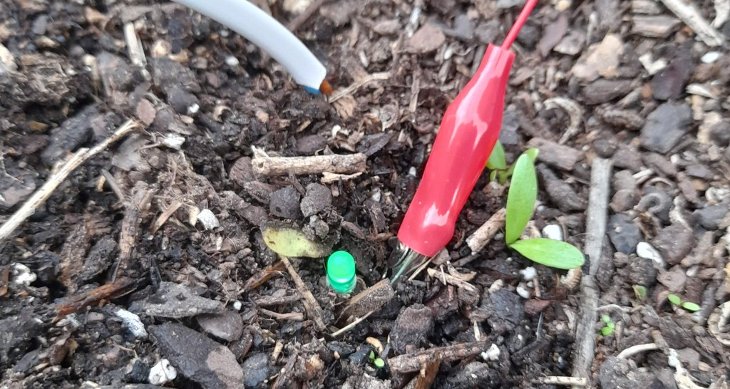 2020010. Cap a una escola neutra en&nbsp;carboni