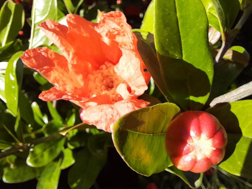 2021001. “Inventari de CO2” i sis activitats més per a&nbsp;secundària.