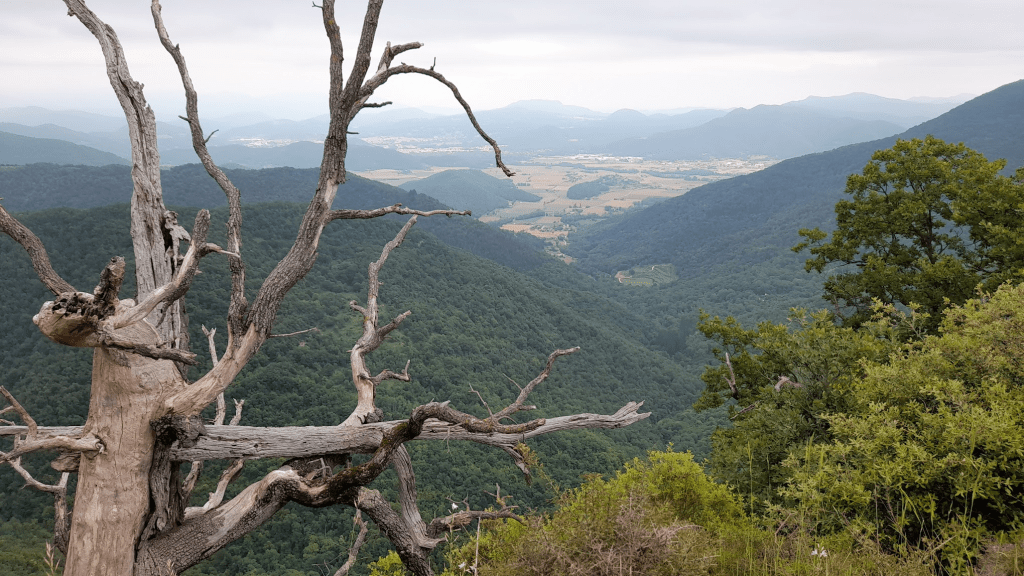 2025001. La gestió sostenible a les universitats, un rei&nbsp;nu.
